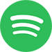 Spotify icon - bright green circle with 3 curved lines